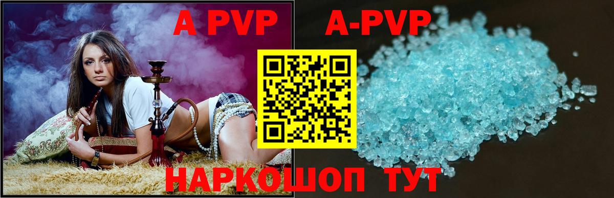 A PVP СК Тара