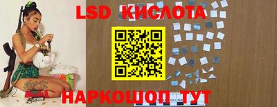 прущие крисы Будённовск