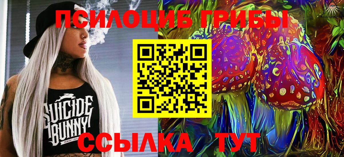 Псилоцибиновые грибы прущие грибы  Вход с VPN  Галлюциногенные грибы прущие грибы  Тара 